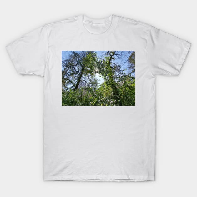 An endless forest T-Shirt by Thepurplepig